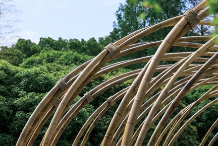 Bent By Spring