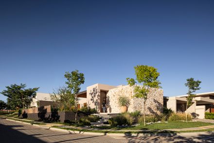 Avocado Tree House