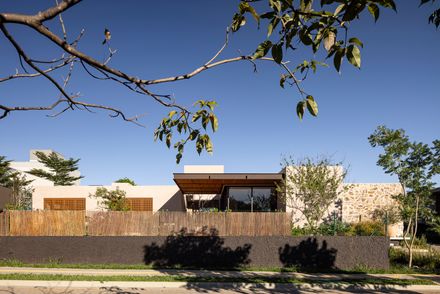 Avocado Tree House