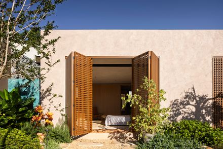 Avocado Tree House