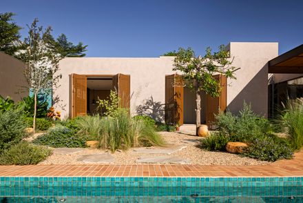 Avocado Tree House
