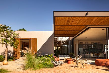 Avocado Tree House
