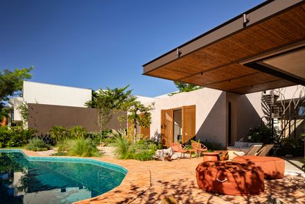 Avocado Tree House