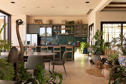Avocado Tree House