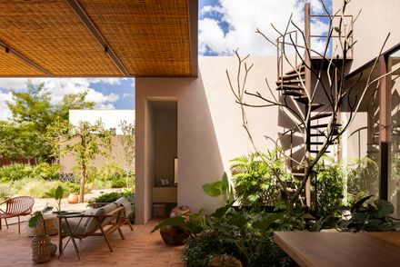 Avocado Tree House