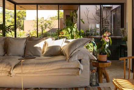 Avocado Tree House