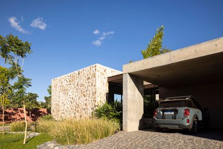 Avocado Tree House