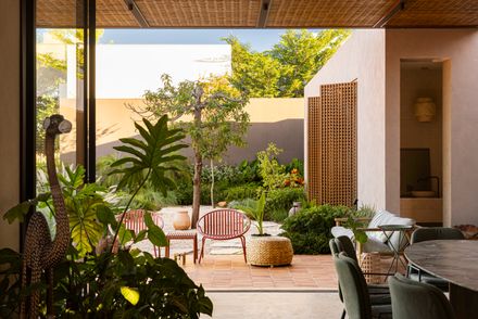 Avocado Tree House