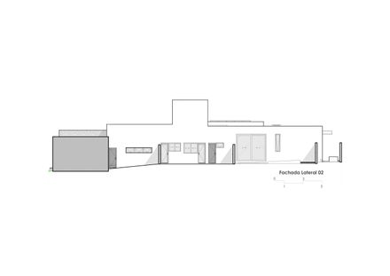 Avocado Tree House