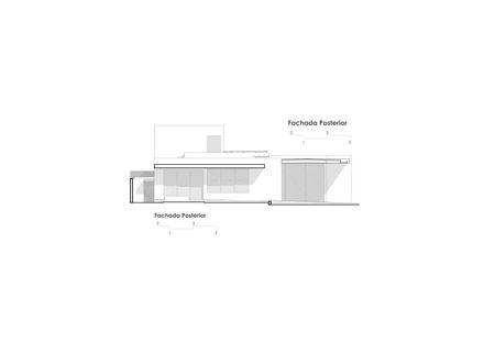 Avocado Tree House