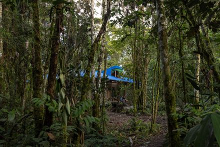 WildSumaco Research Pavilion