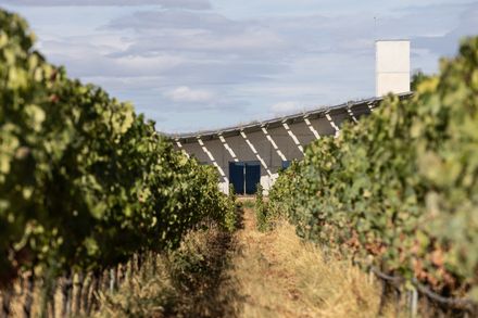 Adega Do Ataíde Winery