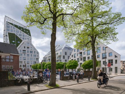 Nieuw Bergen