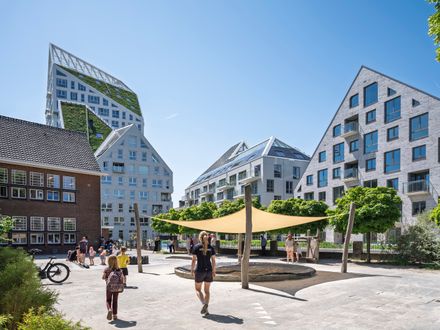 Nieuw Bergen