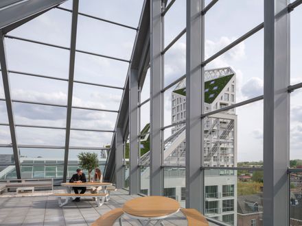 Nieuw Bergen