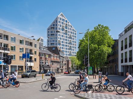 Nieuw Bergen