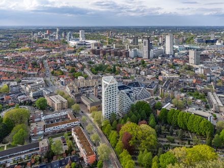 Nieuw Bergen