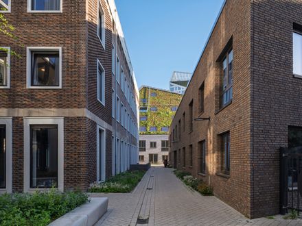 Nieuw Bergen