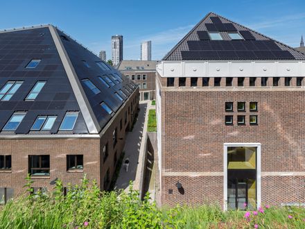 Nieuw Bergen
