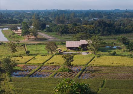 Raintree Lane Farm House
