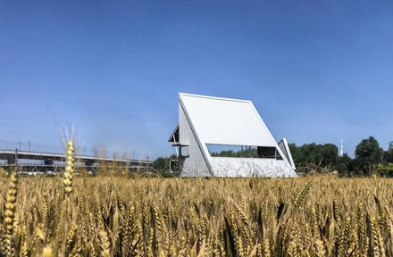 A White Barn