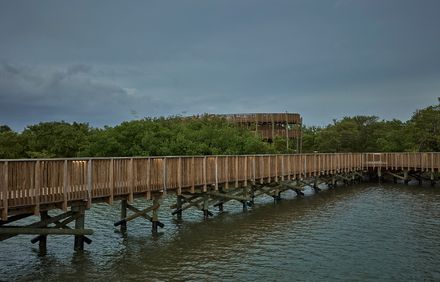 Ecopark Ciénaga De Mallorquín