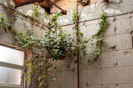 Godai Ceramic Studio