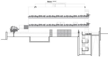 Boavista Housing