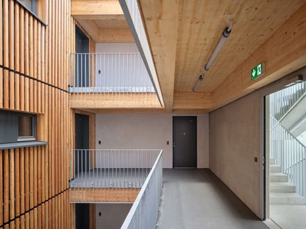 Zdar Wooden Housing