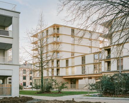 81 Housing Units