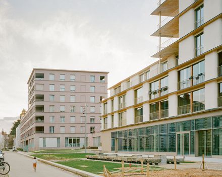 81 Housing Units