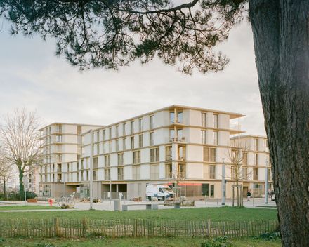 81 Housing Units