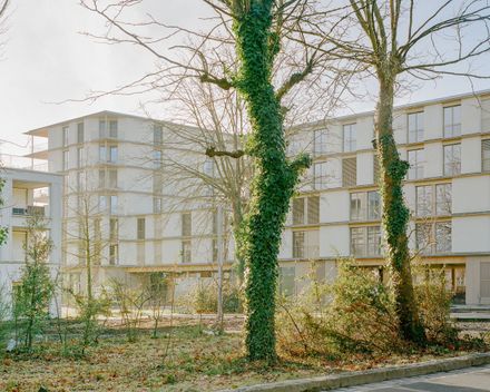81 Housing Units