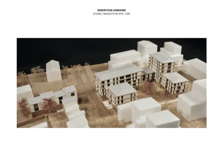 81 Housing Units