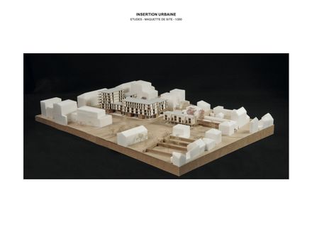 81 Housing Units