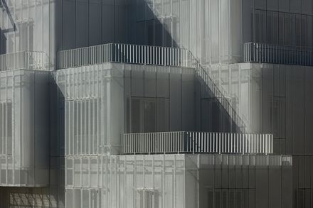 Veil