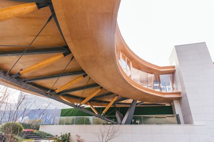 Timber Structure Pedestrian Bridge Of Yitaiyipin Garden