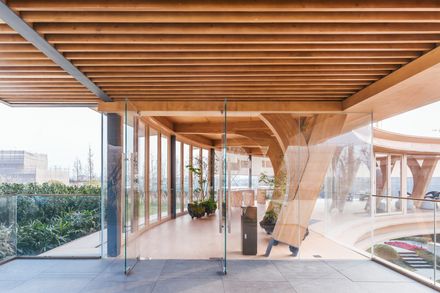 Timber Structure Pedestrian Bridge Of Yitaiyipin Garden