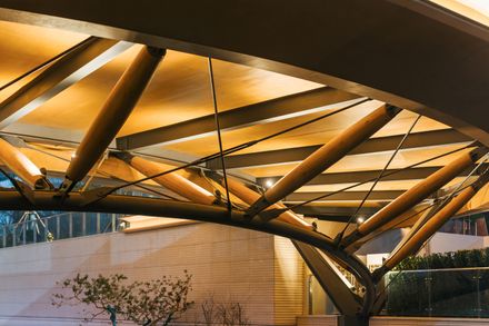Timber Structure Pedestrian Bridge Of Yitaiyipin Garden