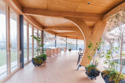 Timber Structure Pedestrian Bridge Of Yitaiyipin Garden