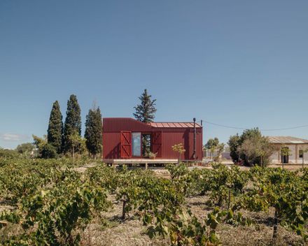 The Root Cabin