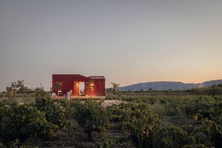 The Root Cabin