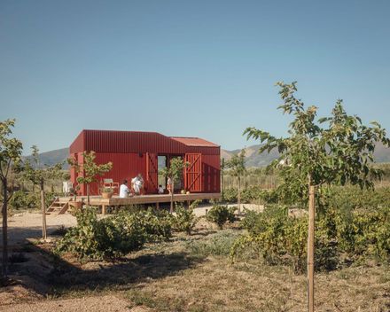 The Root Cabin