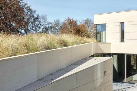 The Green Courtyard House