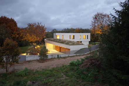 The Green Courtyard House