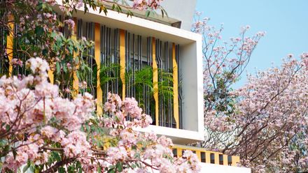 The Blooming Haus
