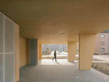 Platte-Lostraat Collective Housing