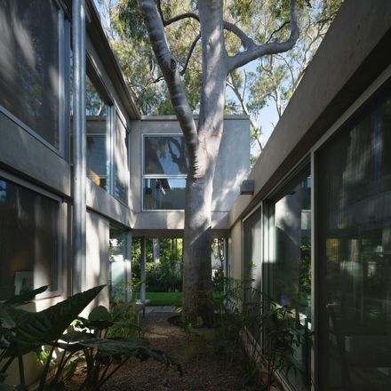 Eucalyptus House