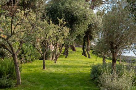 Villa In Recco