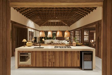 Trama House